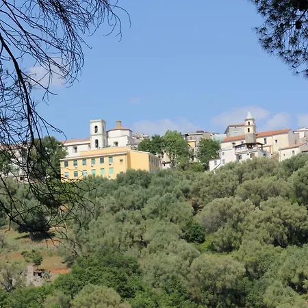 O'vicariello