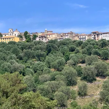 Ovicariello קמרוטה